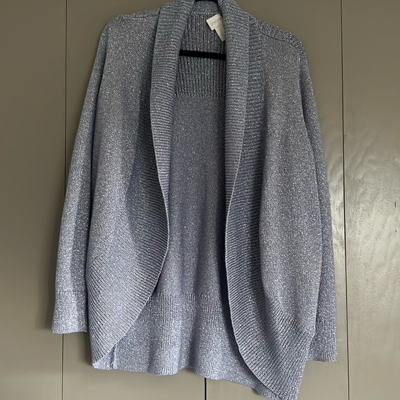 Chico's Sweaters - Chicos Light Blue and Metallic open Sweater